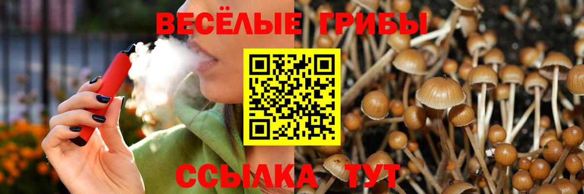 Галлюциногенные грибы прущие грибы Новый Уренгой